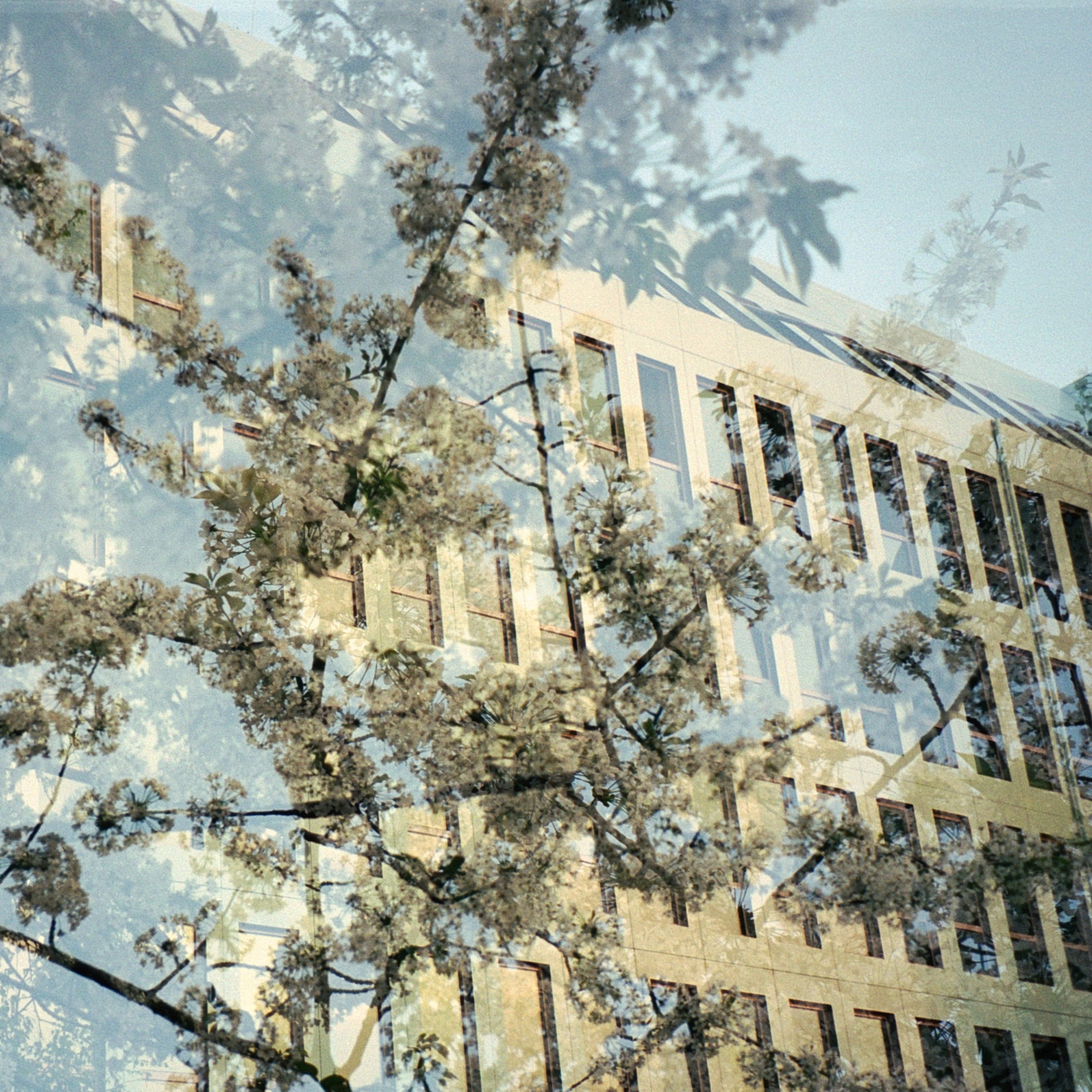 er bladene blæst ned by Malte Dueholm